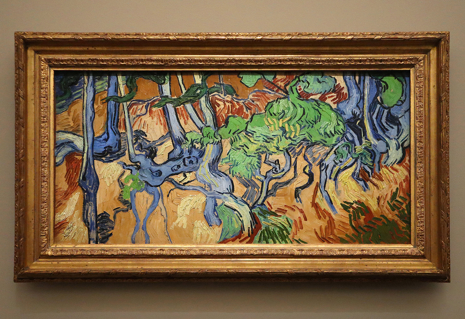 Vincent van Gogh, Racines d’arbres</p>
<p>Photographie © Raymond Martinez