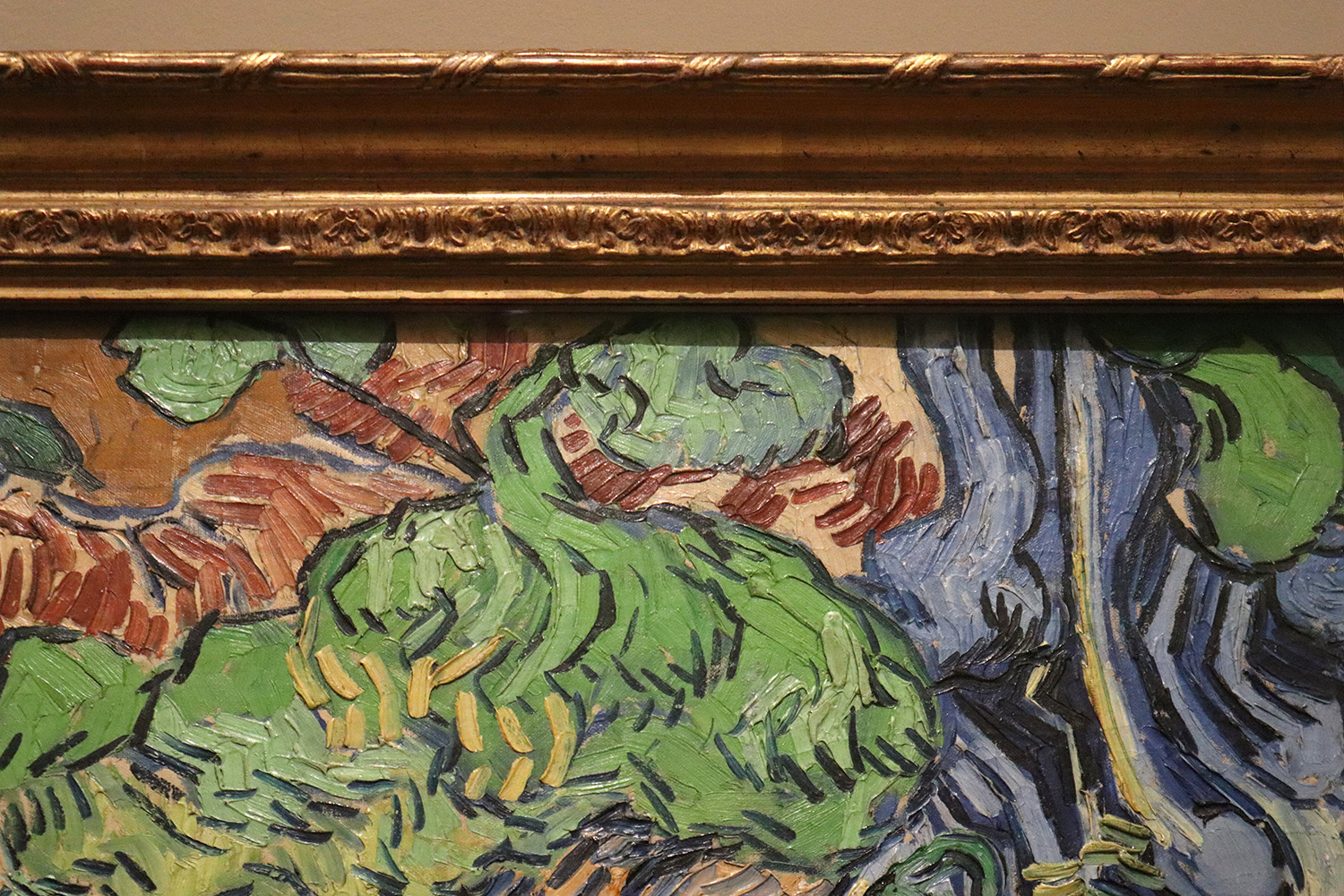 Vincent van Gogh, Racines d’arbres (détail) - Photographie Raymond Martinez 2023 ©